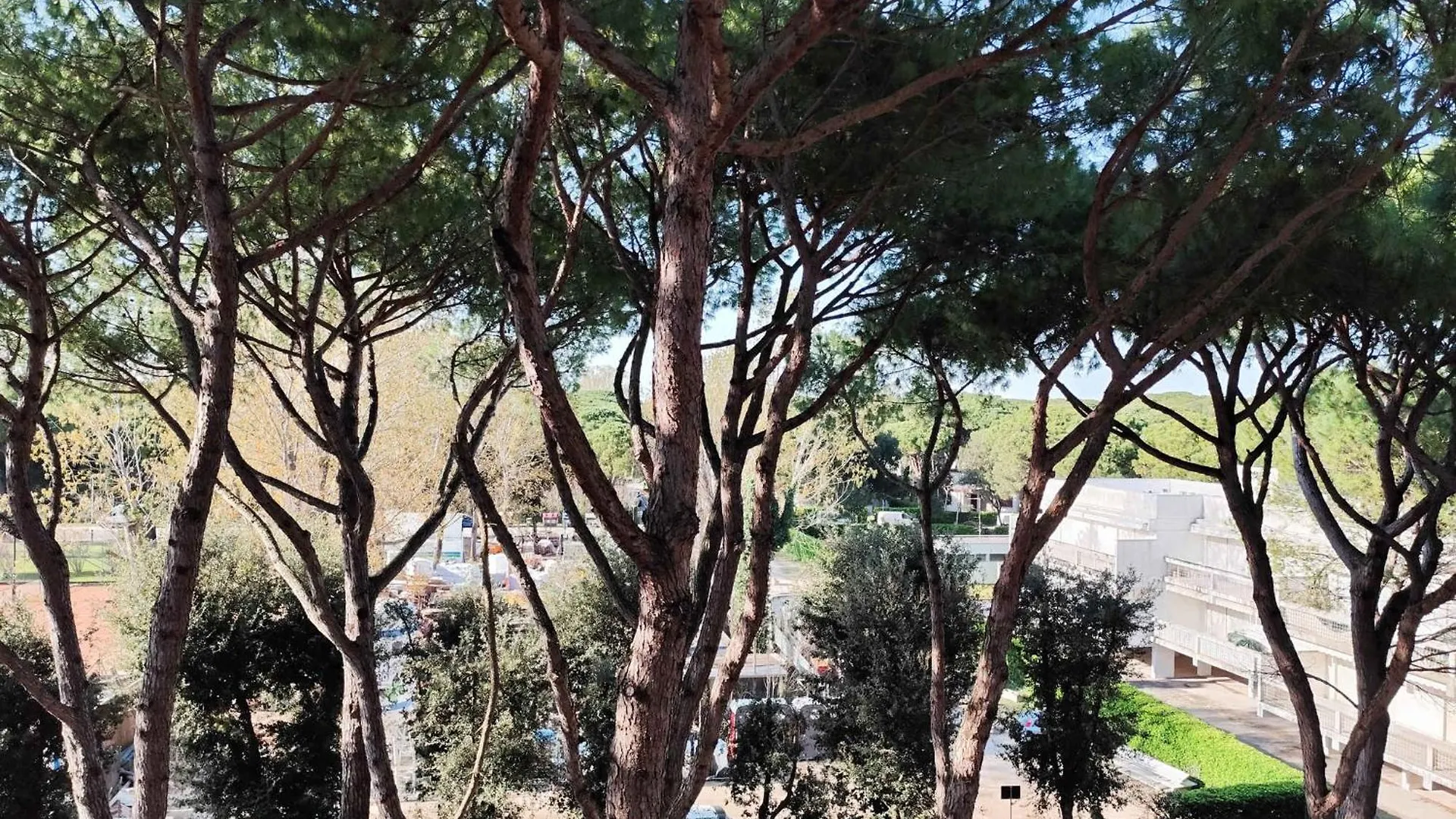 Apartment In Lido Di Jesolo 50789